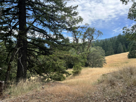 00 STAPP ROAD, KNEELAND, CA 95549 - Image 1