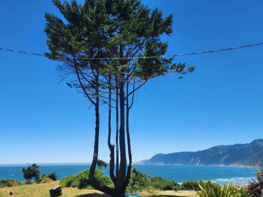 71 & 75 WHALE POINT, SHELTER COVE, CA 95589 - Image 1