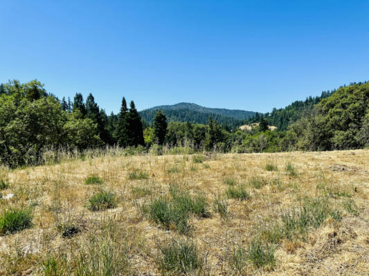 0 VALLEY VIEW DRIVE, BENBOW, CA 95542 - Image 1