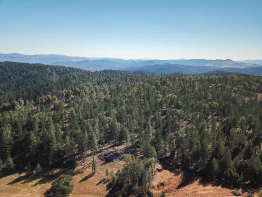 +/-80ACRE BLUFF CREEK ROAD, OUT OF COUNTY, CA 99999, photo 5 of 24