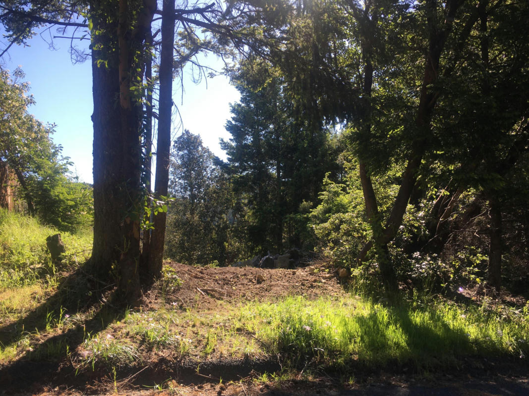 1035 TOTH RD, SHELTER COVE, CA 95589, photo 1 of 2