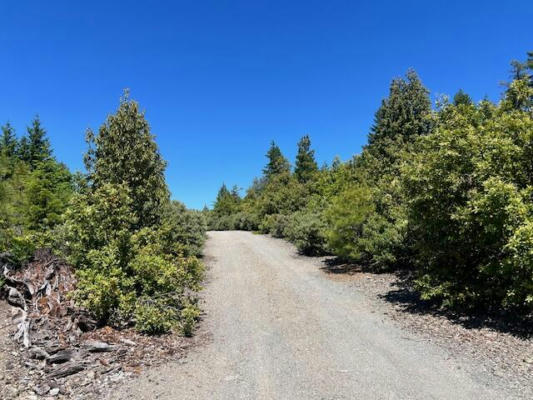 203 ACRES THREE CREEKS ROAD, BERRY SUMMIT, CA 95525 - Image 1