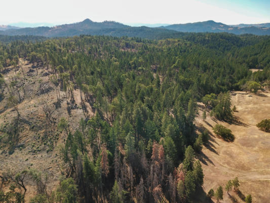 +/-80ACRE BLUFF CREEK ROAD, OUT OF COUNTY, CA 99999 - Image 1