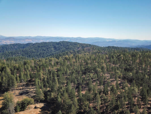 +/-80ACRE BLUFF CREEK ROAD, OUT OF COUNTY, CA 99999, photo 3 of 24