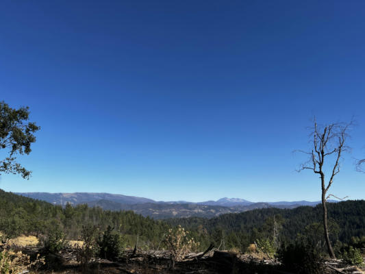 +/-80ACRE BLUFF CREEK ROAD, OUT OF COUNTY, CA 99999, photo 2 of 24