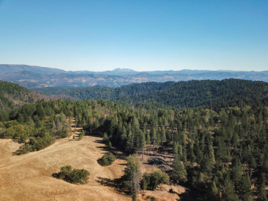 +/-80ACRE BLUFF CREEK ROAD, OUT OF COUNTY, CA 99999, photo 4 of 24